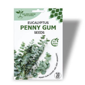 Eucalyptus Silver Dollar Seeds