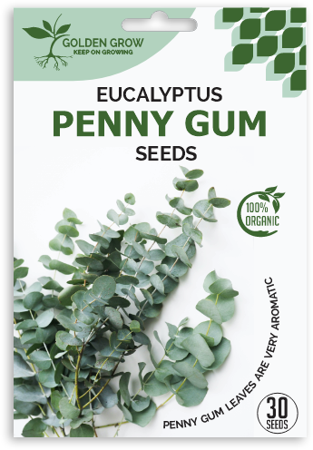 Eucalyptus Penny Gum Seeds